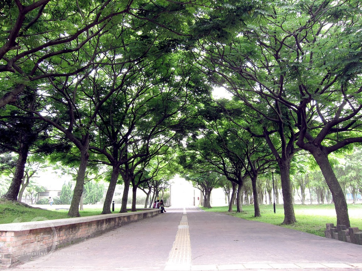 桃園景點 | 大溪埔頂公園 ．專屬桃園的大安森林公園 / 水泥都市裡的綠色桃花源 / 野餐推薦