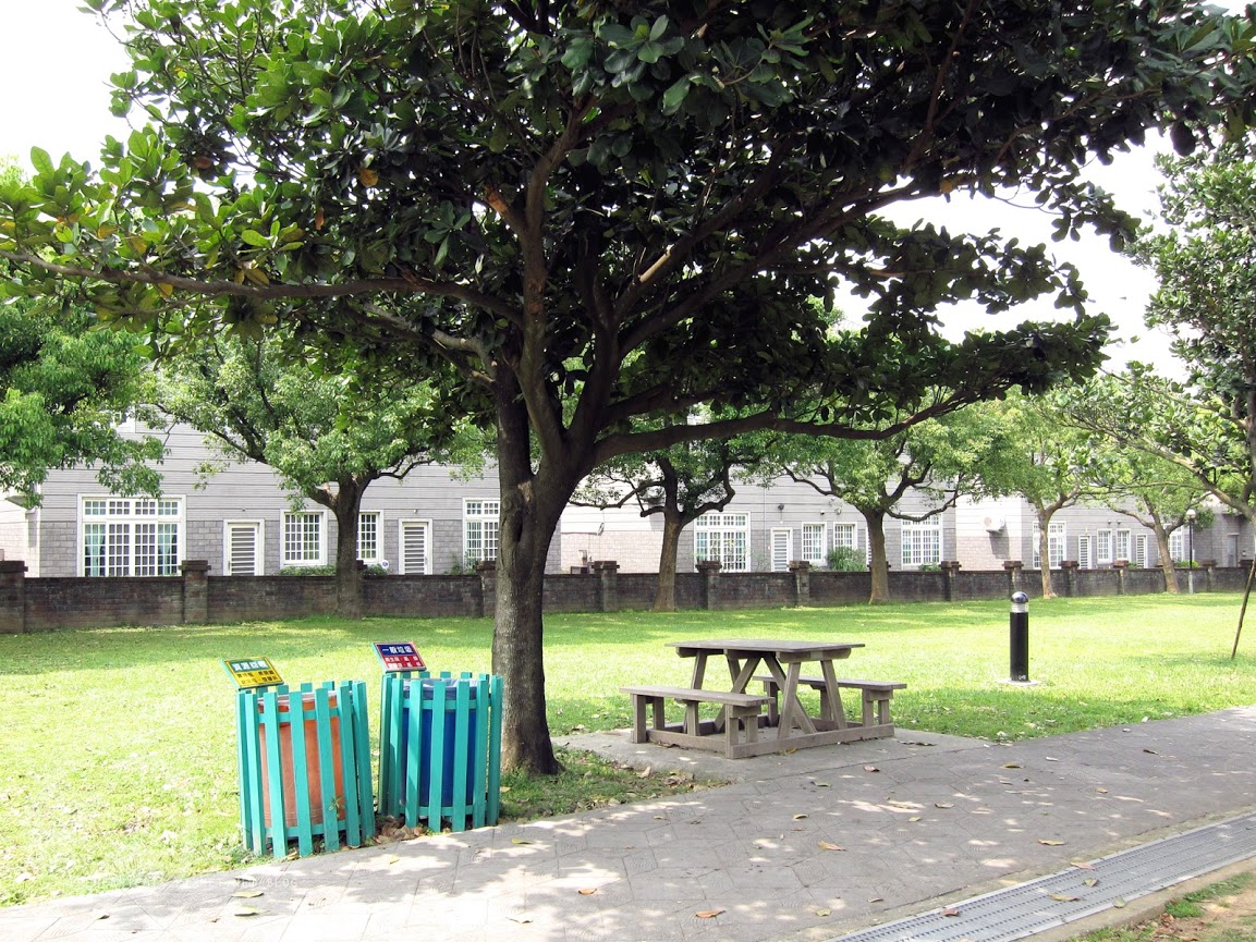 桃園景點 | 大溪埔頂公園 ．專屬桃園的大安森林公園 / 水泥都市裡的綠色桃花源 / 野餐推薦