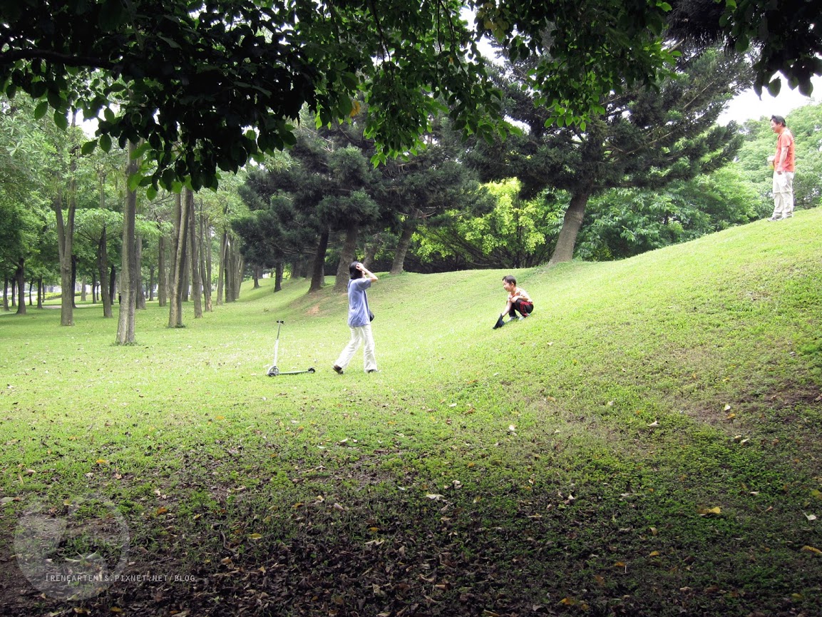 桃園景點 | 大溪埔頂公園 ．專屬桃園的大安森林公園 / 水泥都市裡的綠色桃花源 / 野餐推薦