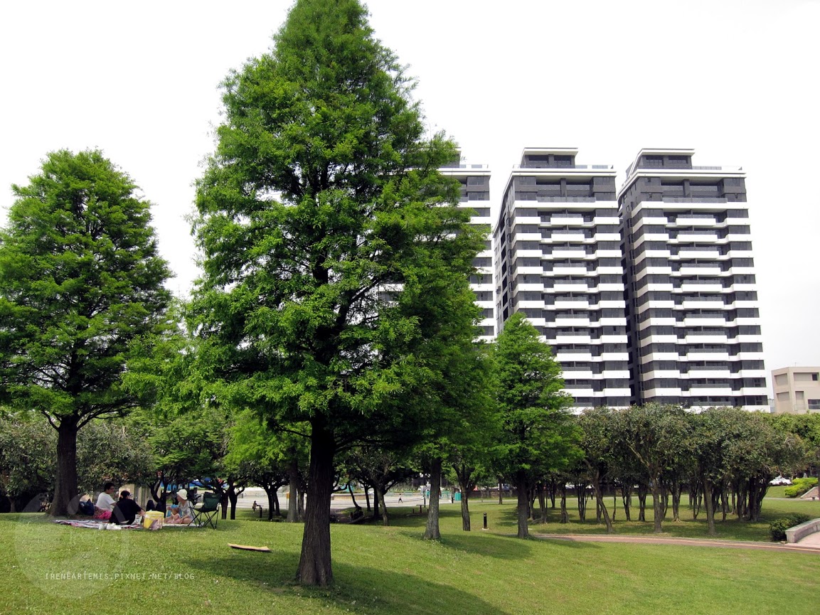 桃園景點 | 大溪埔頂公園 ．專屬桃園的大安森林公園 / 水泥都市裡的綠色桃花源 / 野餐推薦
