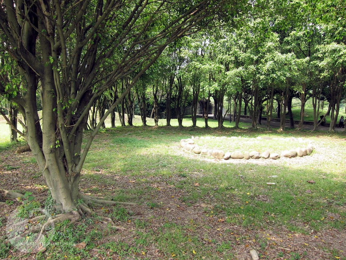 桃園景點 | 大溪埔頂公園 ．專屬桃園的大安森林公園 / 水泥都市裡的綠色桃花源 / 野餐推薦