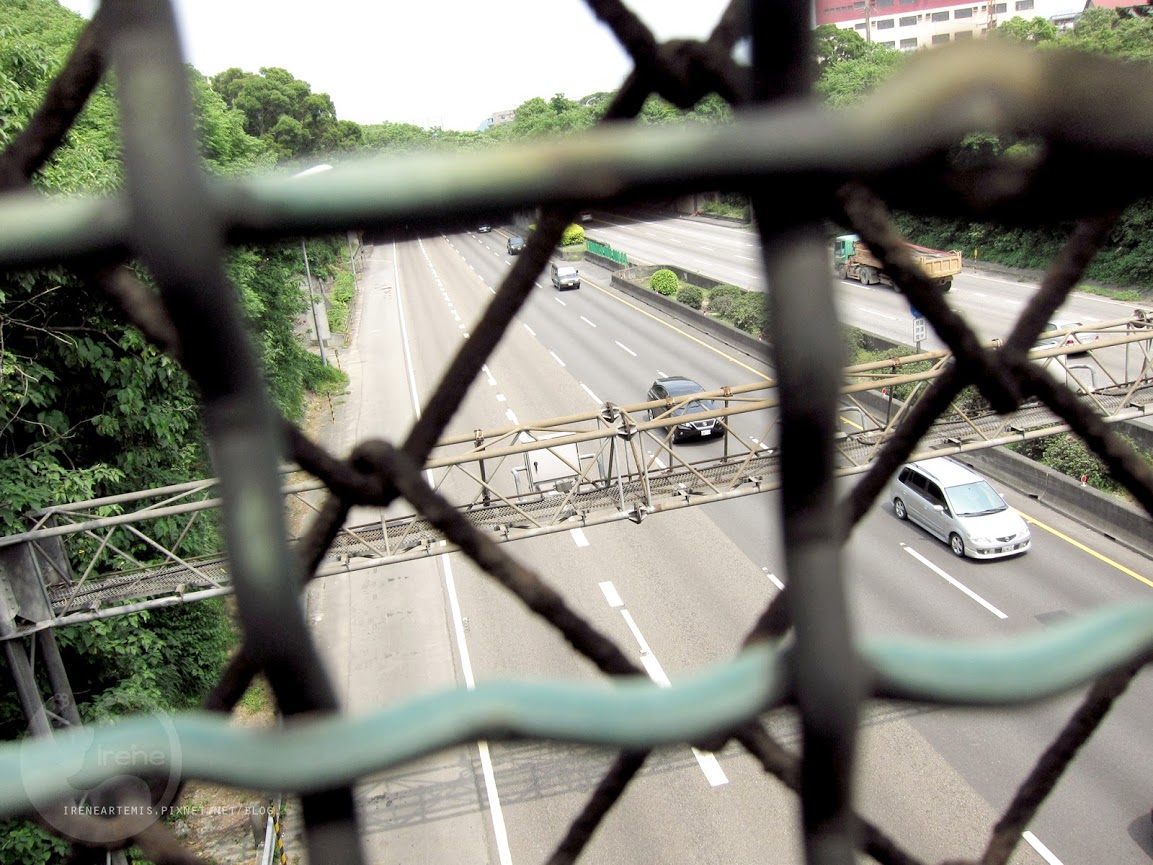 桃園景點 | 大溪埔頂公園 ．專屬桃園的大安森林公園 / 水泥都市裡的綠色桃花源 / 野餐推薦