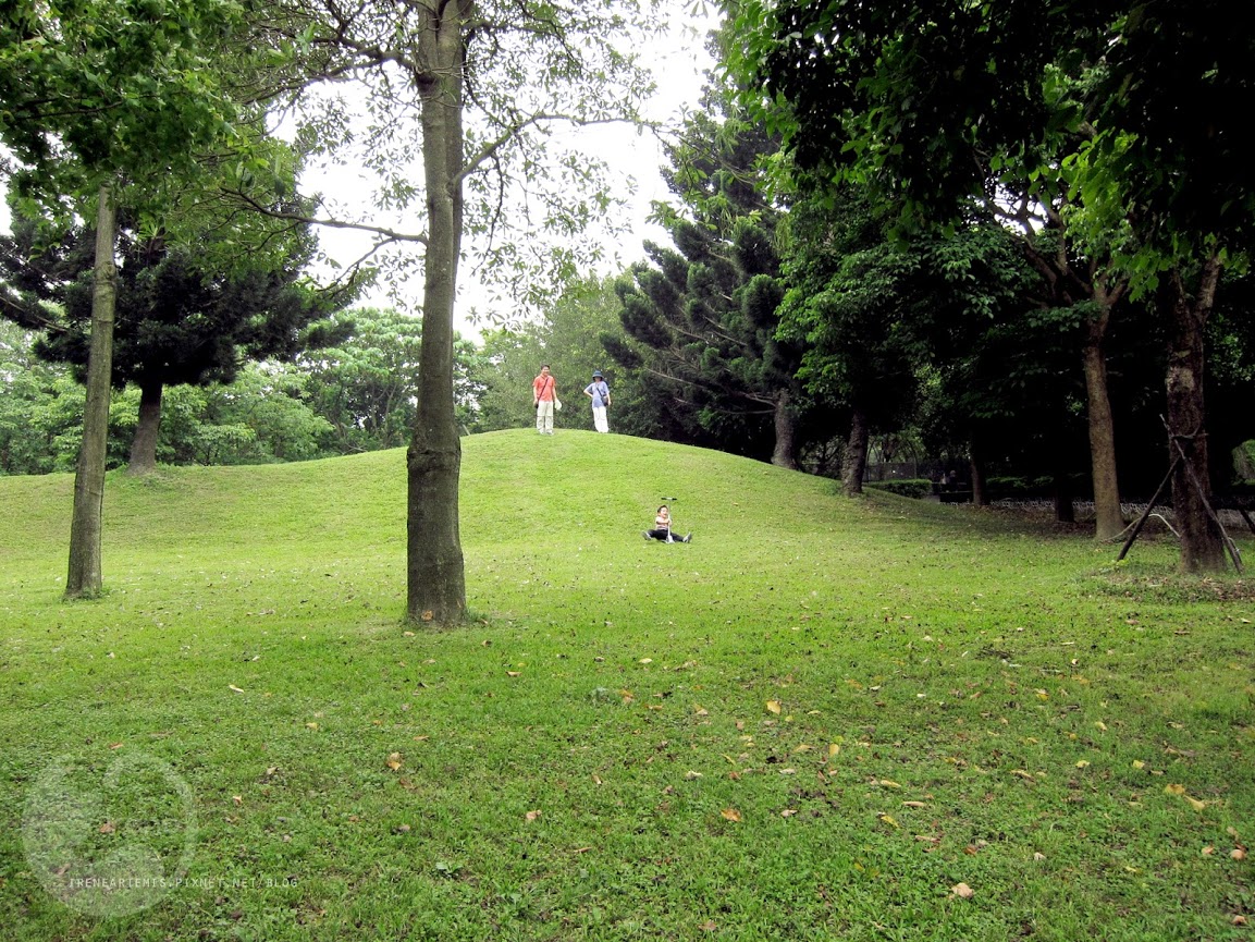 桃園景點 | 大溪埔頂公園 ．專屬桃園的大安森林公園 / 水泥都市裡的綠色桃花源 / 野餐推薦