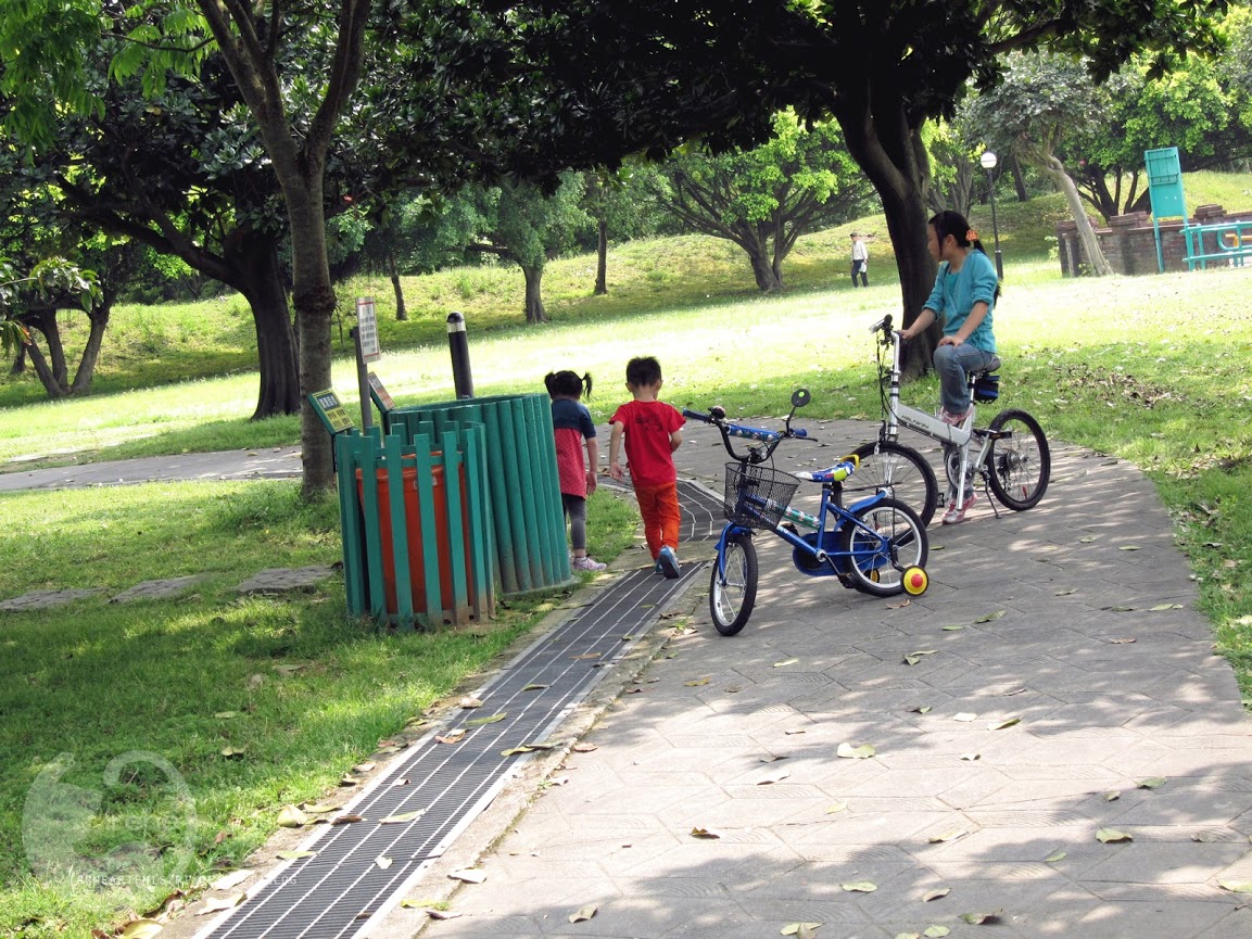 桃園景點 | 大溪埔頂公園 ．專屬桃園的大安森林公園 / 水泥都市裡的綠色桃花源 / 野餐推薦