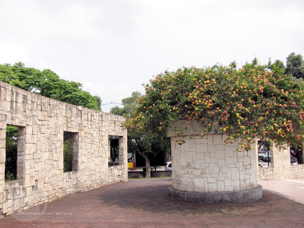 桃園景點 | 大溪埔頂公園 ．專屬桃園的大安森林公園 / 水泥都市裡的綠色桃花源 / 野餐推薦
