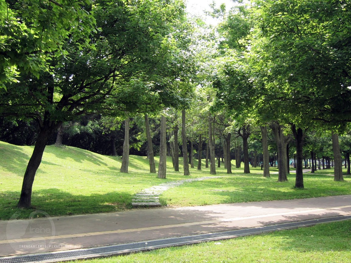 桃園景點 | 大溪埔頂公園 ．專屬桃園的大安森林公園 / 水泥都市裡的綠色桃花源 / 野餐推薦