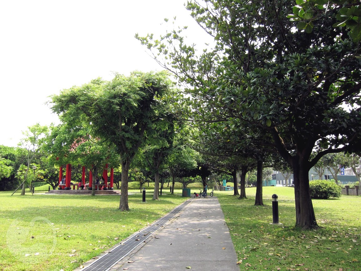 桃園景點 | 大溪埔頂公園 ．專屬桃園的大安森林公園 / 水泥都市裡的綠色桃花源 / 野餐推薦