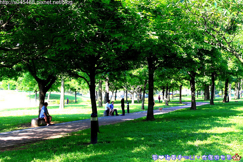 【桃園▍親子旅遊】大溪埔頂公園ღ家裡附近的公園,宛如開機畫面般的風景