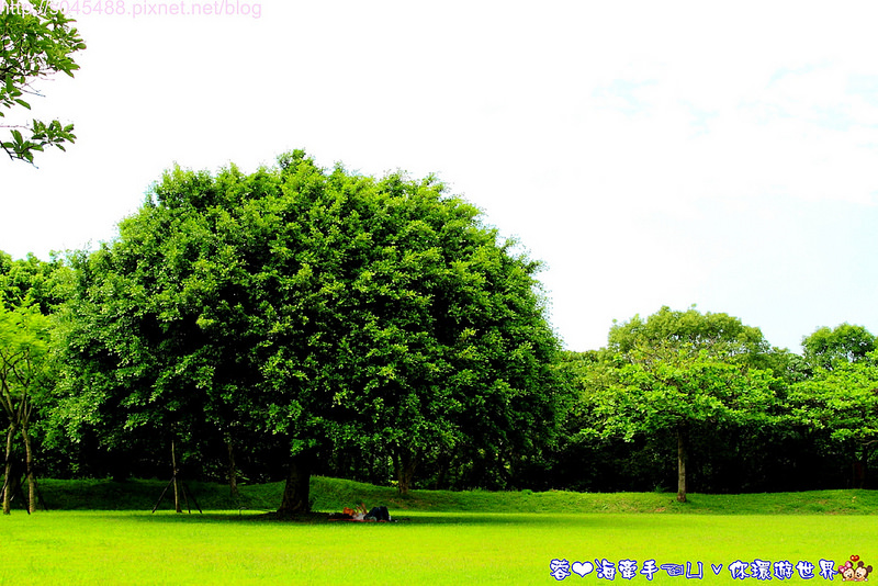 【桃園▍親子旅遊】大溪埔頂公園ღ家裡附近的公園,宛如開機畫面般的風景