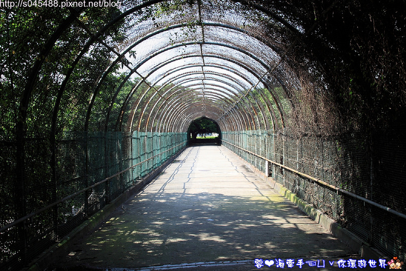 【桃園▍親子旅遊】大溪埔頂公園ღ家裡附近的公園,宛如開機畫面般的風景