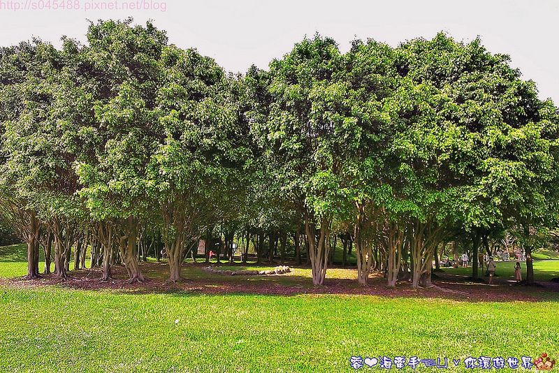 【桃園▍親子旅遊】大溪埔頂公園ღ家裡附近的公園,宛如開機畫面般的風景