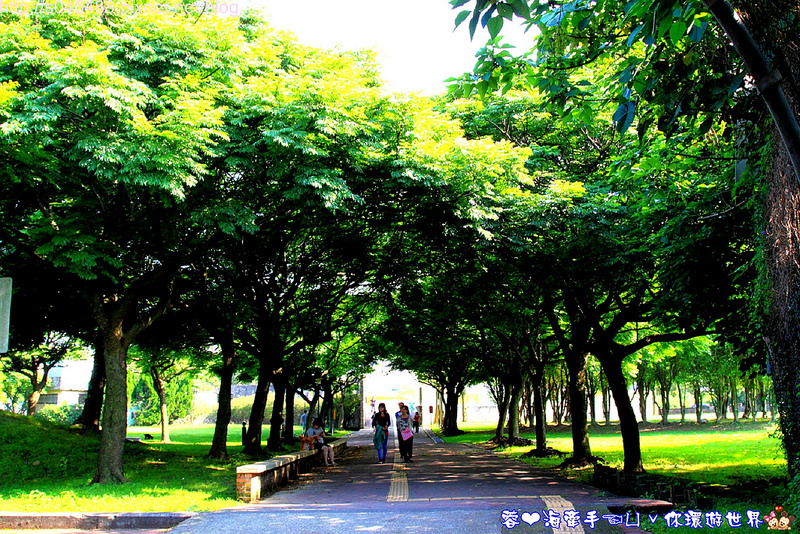 【桃園▍親子旅遊】大溪埔頂公園ღ家裡附近的公園,宛如開機畫面般的風景