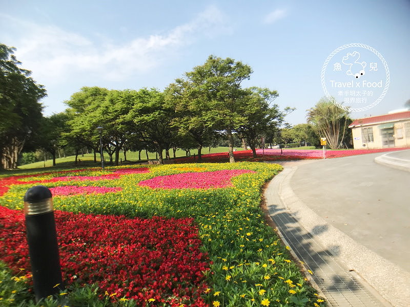 【遊】埔頂公園｜春天的花毯，歐式花園的浪漫，休閒的好去處 @魚兒 x 牽手明太子的「視」界旅行