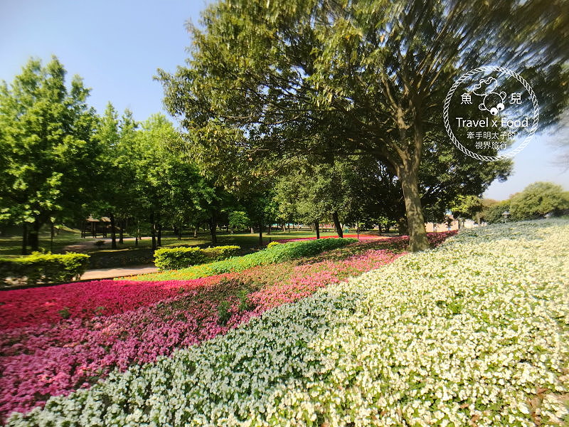 【遊】埔頂公園｜春天的花毯，歐式花園的浪漫，休閒的好去處 @魚兒 x 牽手明太子的「視」界旅行