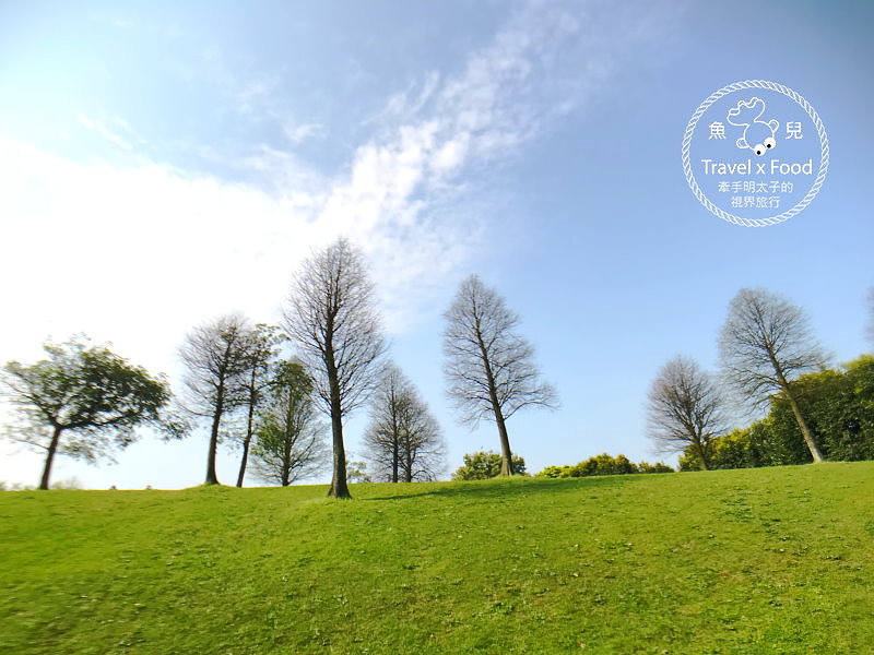 【遊】埔頂公園｜春天的花毯，歐式花園的浪漫，休閒的好去處 @魚兒 x 牽手明太子的「視」界旅行