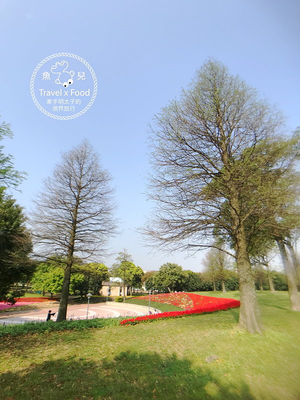 【遊】埔頂公園｜春天的花毯，歐式花園的浪漫，休閒的好去處 @魚兒 x 牽手明太子的「視」界旅行