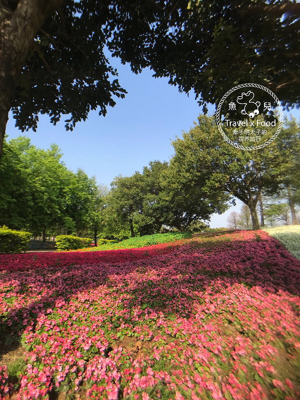 【遊】埔頂公園｜春天的花毯，歐式花園的浪漫，休閒的好去處 @魚兒 x 牽手明太子的「視」界旅行