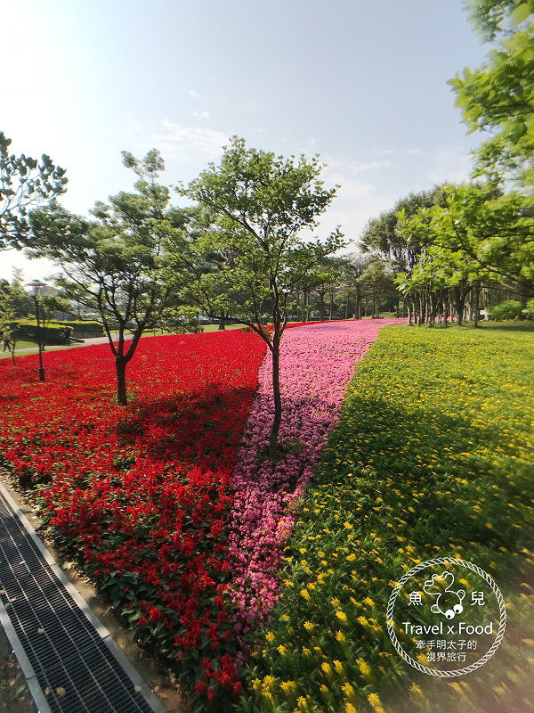 【遊】埔頂公園｜春天的花毯，歐式花園的浪漫，休閒的好去處 @魚兒 x 牽手明太子的「視」界旅行