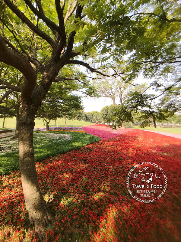 【遊】埔頂公園｜春天的花毯，歐式花園的浪漫，休閒的好去處 @魚兒 x 牽手明太子的「視」界旅行