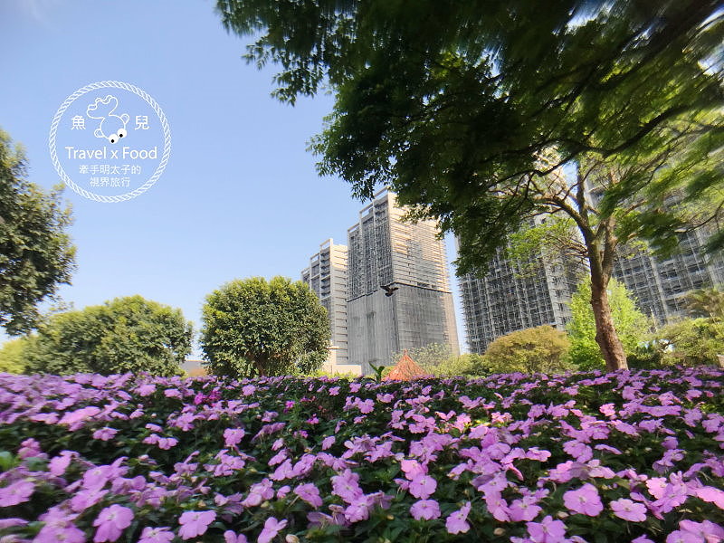 【遊】埔頂公園｜春天的花毯，歐式花園的浪漫，休閒的好去處 @魚兒 x 牽手明太子的「視」界旅行