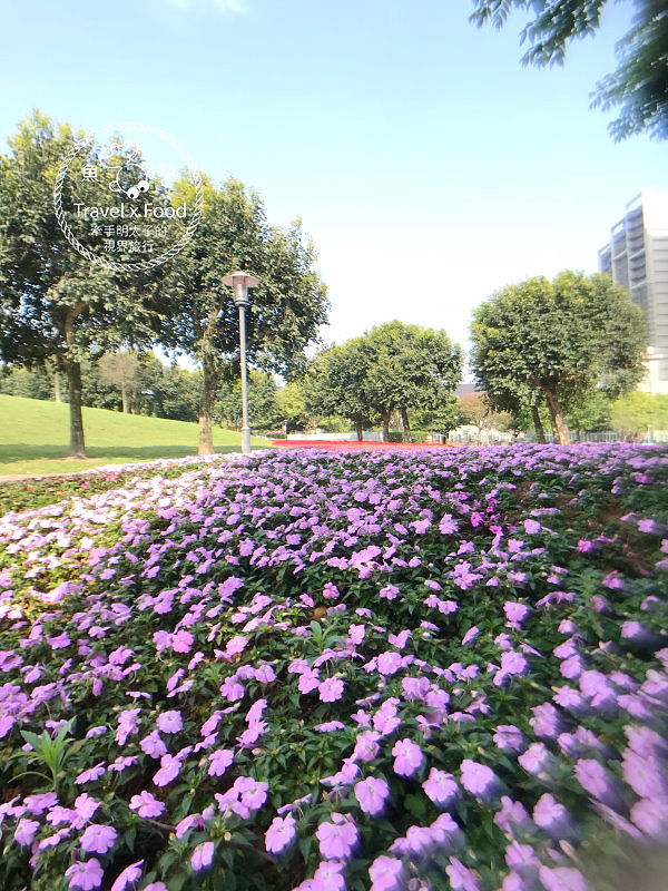 【遊】埔頂公園｜春天的花毯，歐式花園的浪漫，休閒的好去處 @魚兒 x 牽手明太子的「視」界旅行