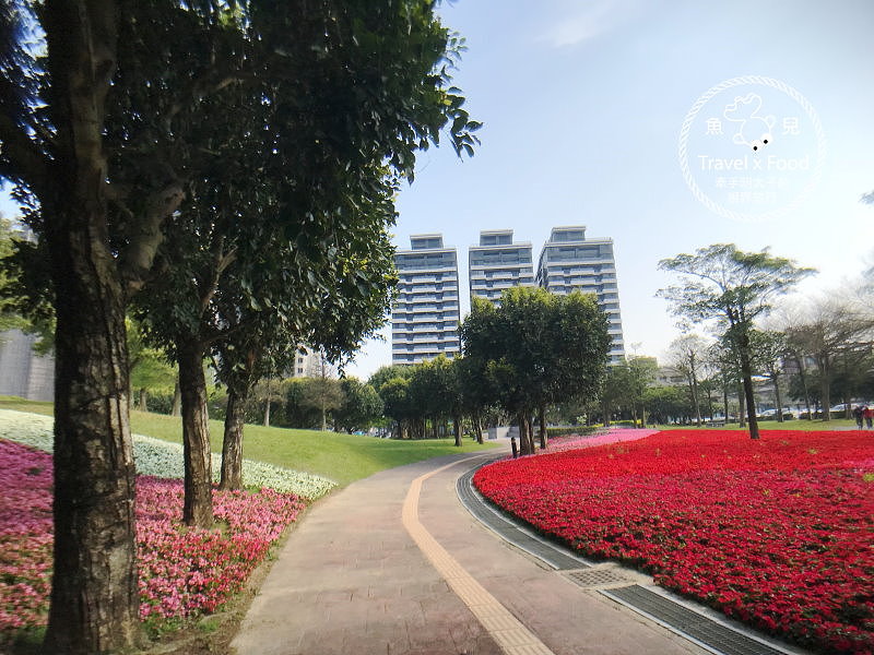 【遊】埔頂公園｜春天的花毯，歐式花園的浪漫，休閒的好去處 @魚兒 x 牽手明太子的「視」界旅行