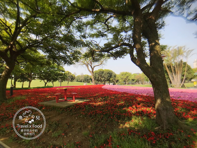 【遊】埔頂公園｜春天的花毯，歐式花園的浪漫，休閒的好去處 @魚兒 x 牽手明太子的「視」界旅行