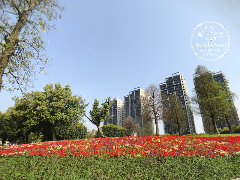 【遊】埔頂公園｜春天的花毯，歐式花園的浪漫，休閒的好去處 @魚兒 x 牽手明太子的「視」界旅行
