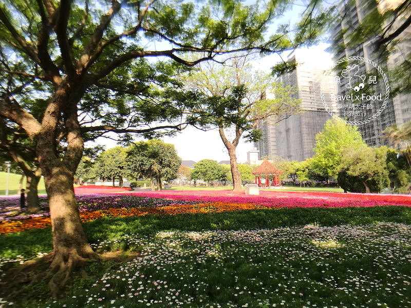 【遊】埔頂公園｜春天的花毯，歐式花園的浪漫，休閒的好去處 @魚兒 x 牽手明太子的「視」界旅行