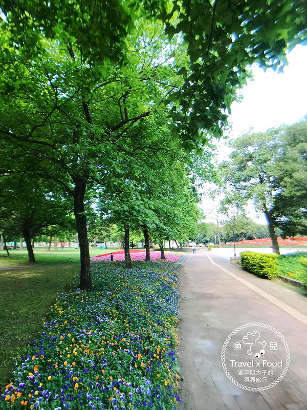 【遊】埔頂公園｜春天的花毯，歐式花園的浪漫，休閒的好去處 @魚兒 x 牽手明太子的「視」界旅行