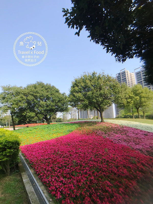 【遊】埔頂公園｜春天的花毯，歐式花園的浪漫，休閒的好去處 @魚兒 x 牽手明太子的「視」界旅行