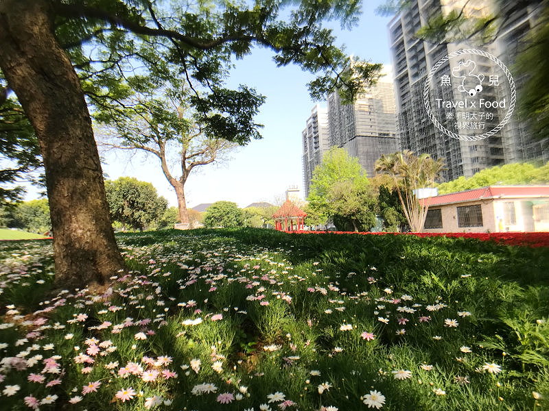 【遊】埔頂公園｜春天的花毯，歐式花園的浪漫，休閒的好去處 @魚兒 x 牽手明太子的「視」界旅行