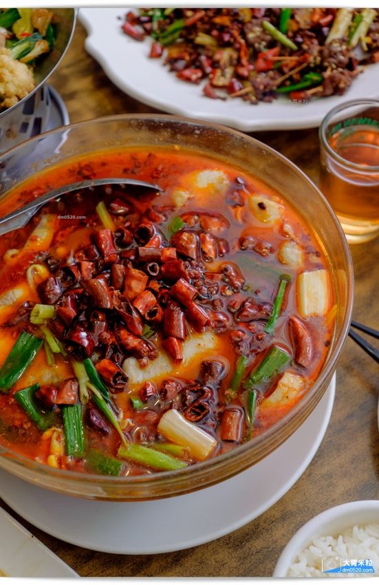 紅紅辣辣一吃上癮！板橋車站人氣川菜推薦,紅辣椒川菜館,道地川味熱炒,麻香下飯,每人15元白飯無限續！板橋中式料理推薦,板橋川菜料理推薦, - 大胃米粒 DAVID & MILLY