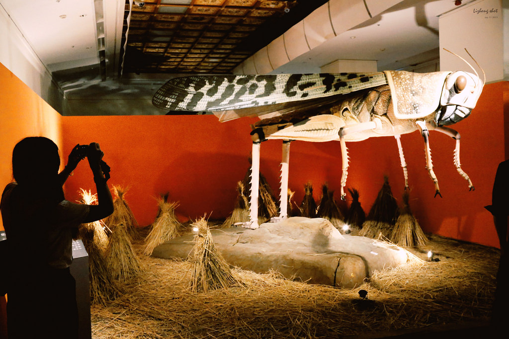 重聽不重看的白堊紀恐龍展 重聽不重看的白堊紀恐龍展