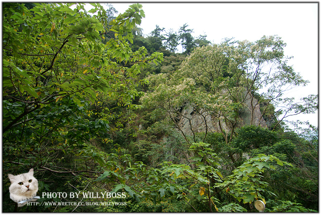 抗日英雄 莫那魯道