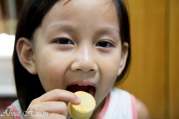 振頤軒食品:新北十大伴手禮(中秋送禮的選擇)-振頤軒