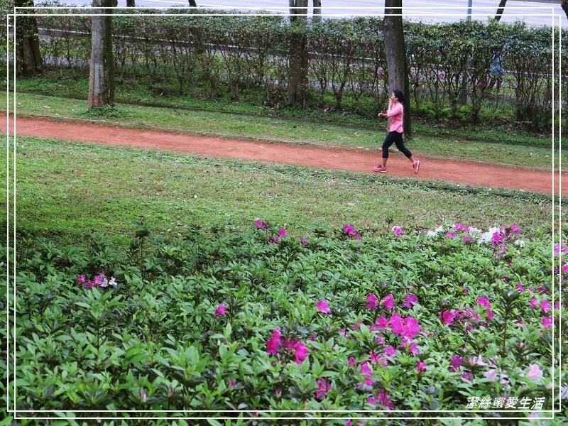 大安森林公園-台北/杜鵑繡球花美炸!2021花季新打卡點不可錯過～ - 潔絲蜜愛生活