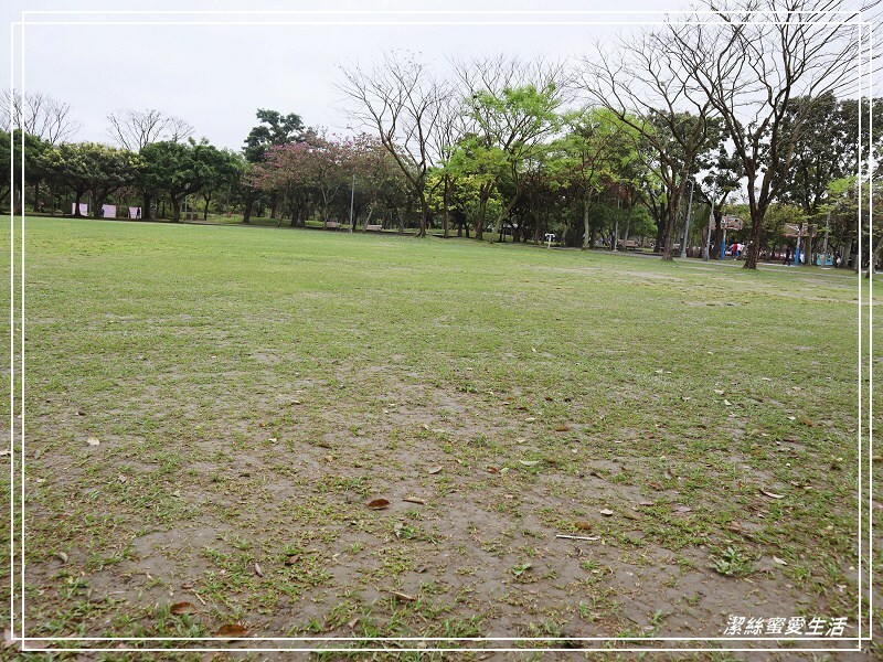 大安森林公園-台北/杜鵑繡球花美炸!2021花季新打卡點不可錯過～ - 潔絲蜜愛生活
