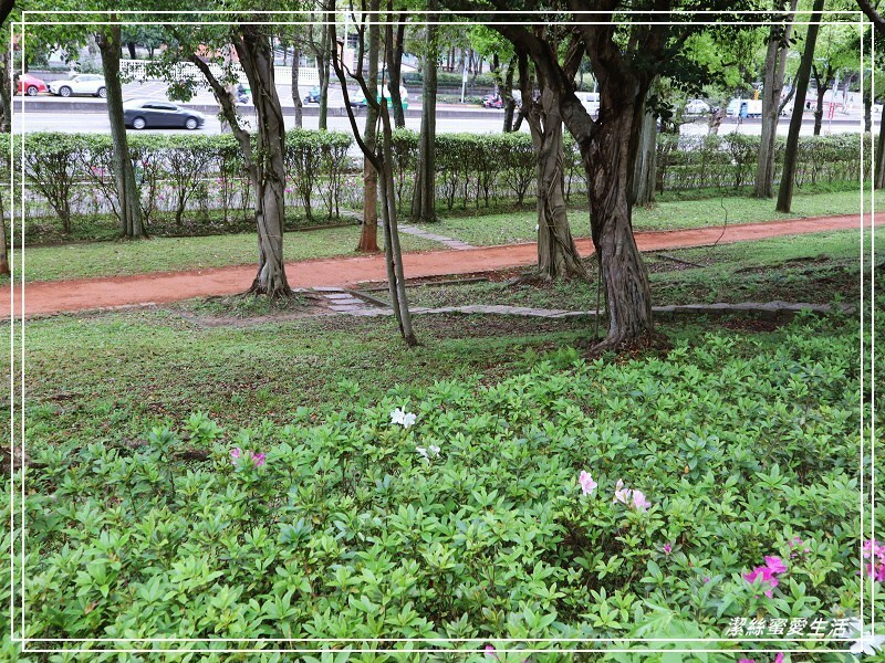 大安森林公園-台北/杜鵑繡球花美炸!2021花季新打卡點不可錯過～ - 潔絲蜜愛生活