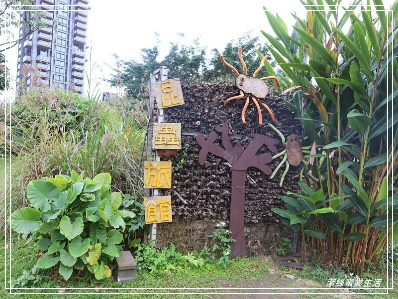 大安森林公園-台北/杜鵑繡球花美炸!2021花季新打卡點不可錯過～ - 潔絲蜜愛生活