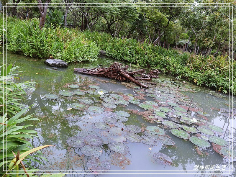 大安森林公園-台北/杜鵑繡球花美炸!2021花季新打卡點不可錯過～ - 潔絲蜜愛生活