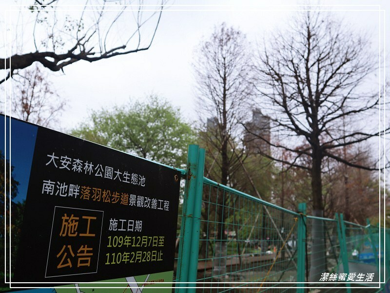 大安森林公園-台北/杜鵑繡球花美炸!2021花季新打卡點不可錯過～ - 潔絲蜜愛生活