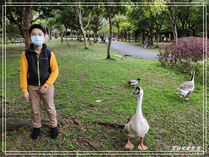大安森林公園-台北/杜鵑繡球花美炸!2021花季新打卡點不可錯過～ - 潔絲蜜愛生活