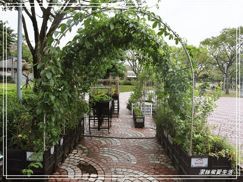 大安森林公園-台北/杜鵑繡球花美炸!2021花季新打卡點不可錯過～ - 潔絲蜜愛生活