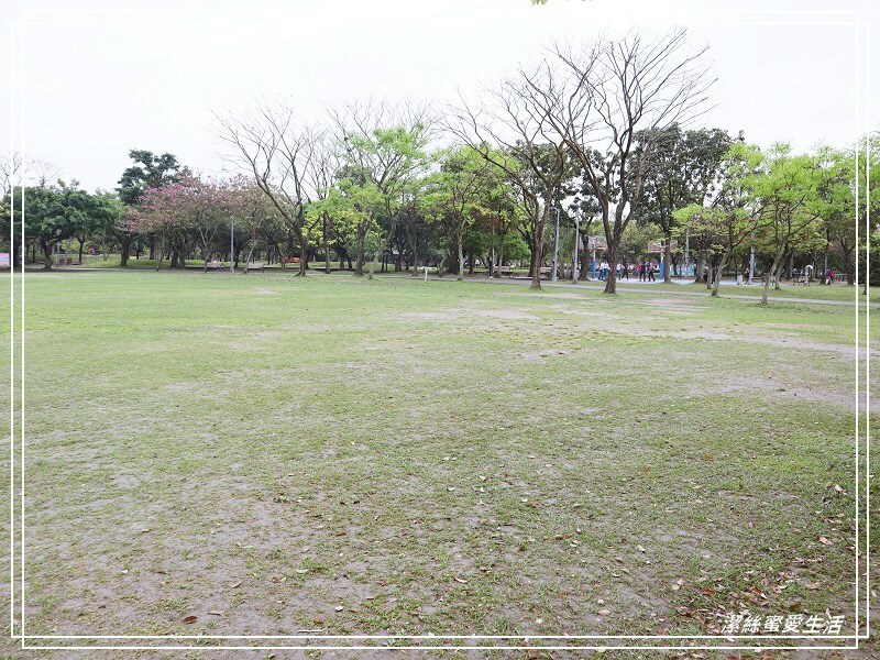 大安森林公園-台北/杜鵑繡球花美炸!2021花季新打卡點不可錯過～ - 潔絲蜜愛生活