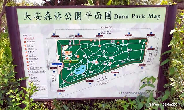 大安森林公園杜鵑花、繡球花與薰衣草花展(Rhododendron , Hydrangea & lavender flower exhibition at Daan Forest Park), Taipei, Taiwan, SJKen, Mar 1, 2021.