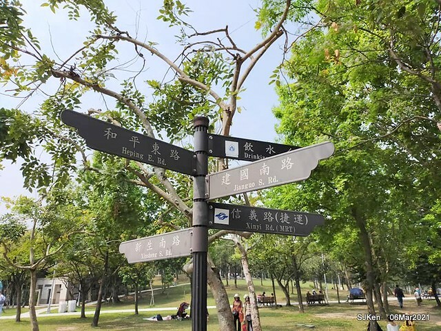 大安森林公園杜鵑花、繡球花與薰衣草花展(Rhododendron , Hydrangea & lavender flower exhibition at Daan Forest Park), Taipei, Taiwan, SJKen, Mar 1, 2021.