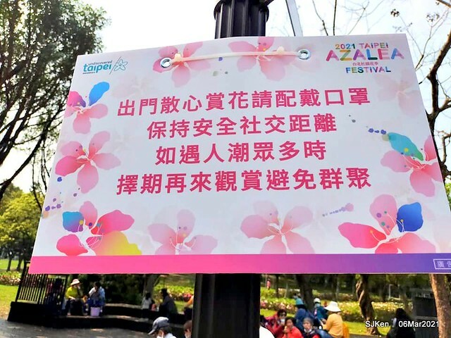 大安森林公園杜鵑花、繡球花與薰衣草花展(Rhododendron , Hydrangea & lavender flower exhibition at Daan Forest Park), Taipei, Taiwan, SJKen, Mar 1, 2021.