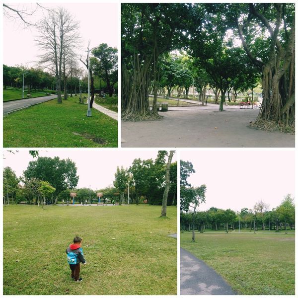 大安森林公園7.jpg