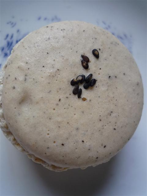 P1310501.JPG P1310501.JPG